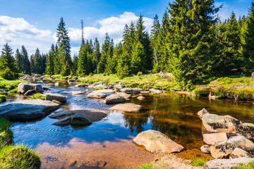 Jizerka river and green meadows with spruce trees in Jizerka village on sunny spring day, Jizera Mountains, Czech Republic