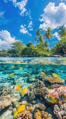 Tropical beach with palm trees and vibrant coral reef underwater.