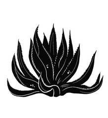 black and white agave plant graphic design tattoo 