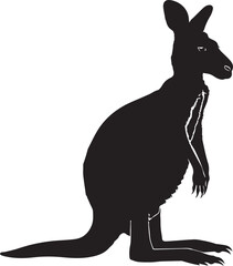 Kangaroo illustration