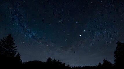 Fototapeta premium starry night sky