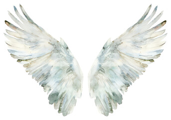 Obraz premium PNG Ethereal watercolor angel wings illustration