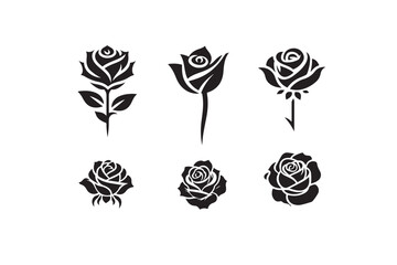 black and white rose