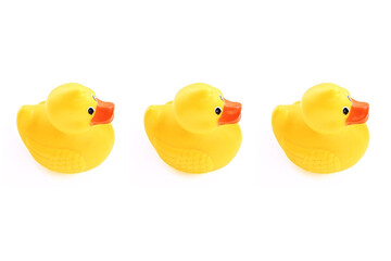 yellow rubber ducks in a row on white
