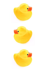 three yellow rubber ducks on white