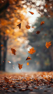 Autumn Leaves Falling in the park - Instagram story vertical image