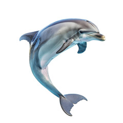 Beautiful dolphin is jumping out of water on a white background