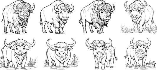 Obraz premium Buffalo and cow hand drawing coloring page and outline vector design 