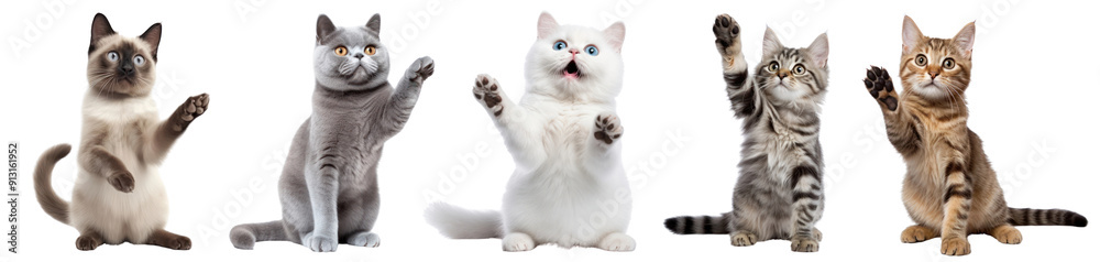 Wall mural cat waving hand png cut out element set