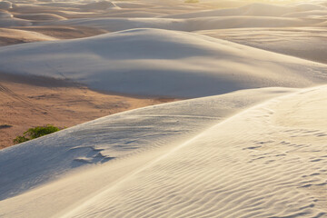 Sand dunes