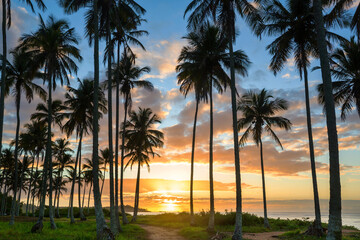 Tropical beach