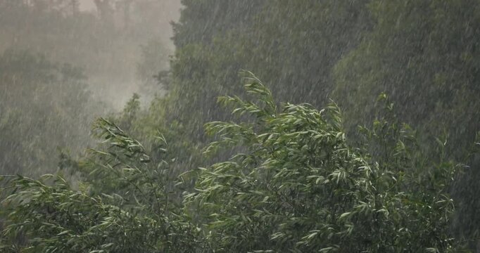 Heavy rain and strong wind slow motion 4k 60fps