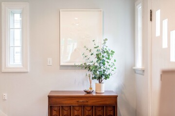 Simple Styled Modern Entryway