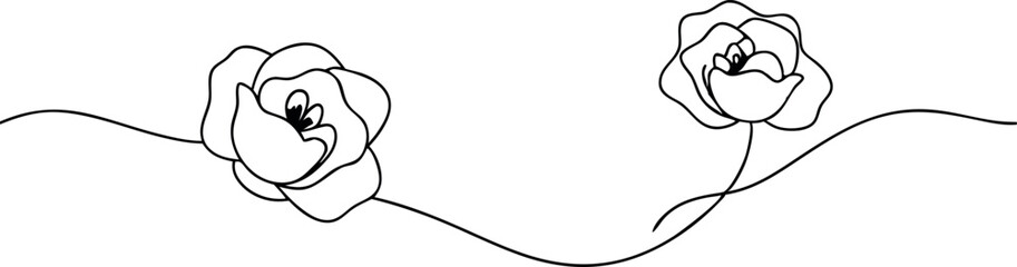 Minimalist Line Art Flowers On White Background