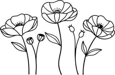 Elegant Black And White Floral Line Art Flowers