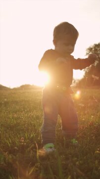 Vertical video of cute infant baby learning to walking first step on green grass in summer park during amazing sunset. Toddler boy first steps in nature. Childhood concept. Selective focus