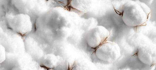 Obraz premium backgrounds and textures- cotton buds on the ground