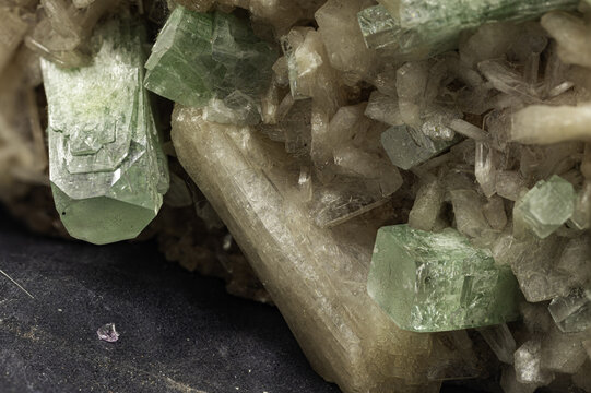This close-up image captures the unique textures and colors of apophyllite and stilbite crystals, emphasizing their geological significance