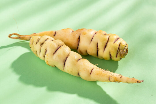 Colombian cubios on a green background - Organic tubers. Tropaeolum tuberosum