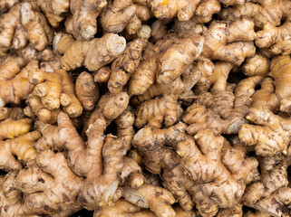 Many organic ginger roots in the Colombian peasant market square - Zingiber officinale