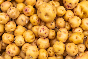 Yellow potato at the Colombian peasant market - Solanum phureja