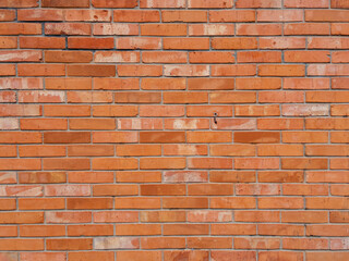 Fototapeta premium Brick Wall Texture for Design Projects