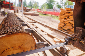 Close-Up of Band saw Cutting Log in Sawmill