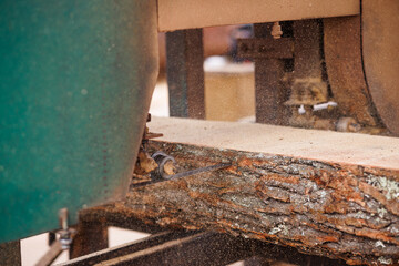 Close-up of sawing logs with a band saw at a sawmill