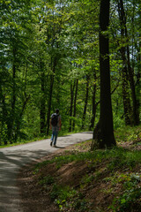 Obraz premium man walking in a forest