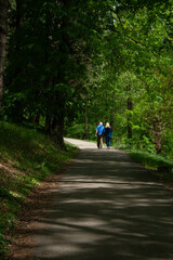 Obraz premium a couple walking in a forest