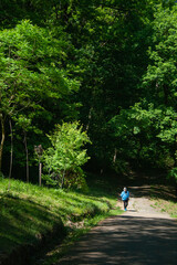 Obraz premium woman walking in a park
