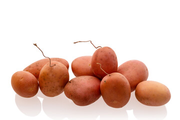 fresh just harvested potato tubes on white background
