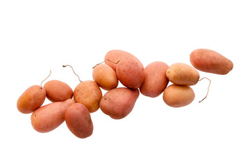 fresh just harvested potato tubes on white background