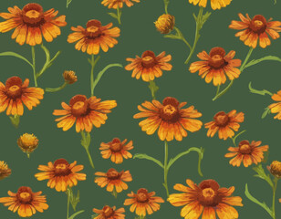 Isolated Common Sneezeweed (Helenium autumnale) Wetland Wildflower with Flower and Leaves
