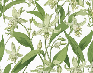 Antique botany illustration: Broad Leaved Helleborine, Epipactis latifolia
