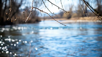 Fototapeta premium Seasonal Shifts: A Year-Round Journey Along the Riverbank