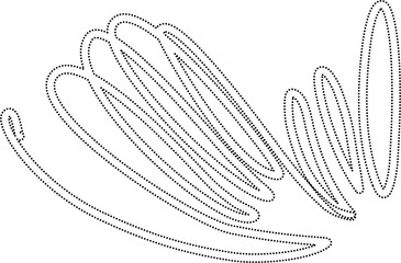 Decorative border set, wedding, floral, invitation, greeting