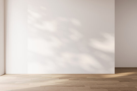 Fototapeta Empty room interior empty space background mock up, sunlight and shadows room walls, room with sunlight and leafs shadows and wooden blank parquet floor