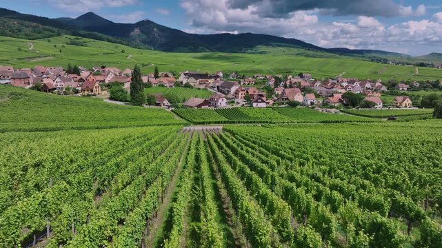Hunawihr French Village Among Vineyards, Alsace Province, Aerial View