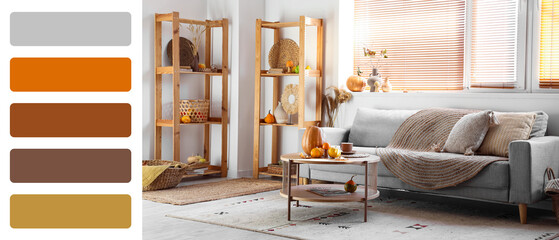 Cozy living room interior with sofa, table and pumpkins