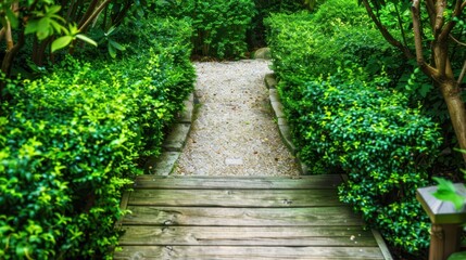 Naklejka premium Wooden pathway surrounded by lush green bushes in a garden, creating a peaceful and serene outdoor scene.