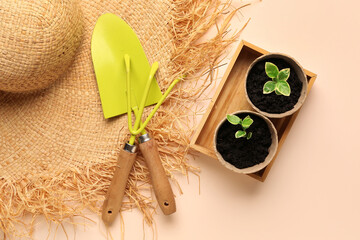 Peat pots with green seedlings, straw hat and gardening tools on beige background
