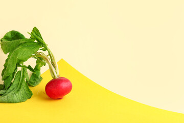 Fresh radish with leaves on colorful background