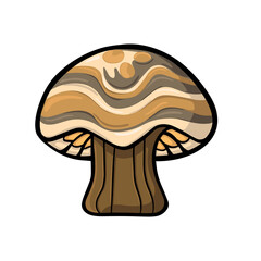 Mushroom Illustration