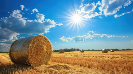 Hay Bales in a Golden Field Under a Sunny Sky