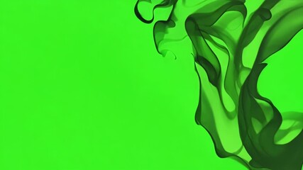 Soft and fluid the animated shadows evoke a sense of dreaminess and wonder. Green screen chromakey