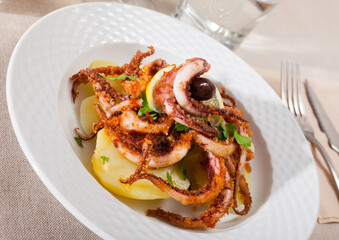 Seafood lunch. Tasty fried squid or octopus tentacles closeup. High quality photo