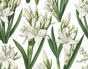 Tuberose | Redoute Flower Illustration
