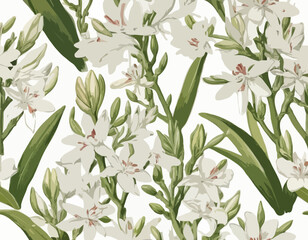Tuberose | Redoute Flower Illustration
