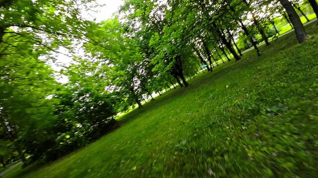 A rollerblader wearing protective gear rides through a park on a paved path. The park is full of green trees and there is a clear blue sky with white clouds. The rollerblader is having a great time